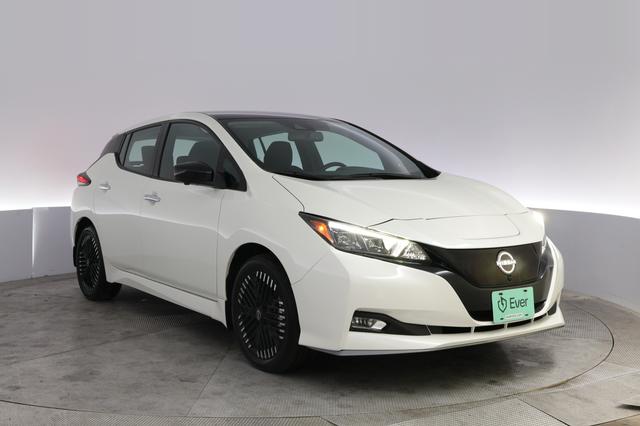 2024 Nissan LEAF — photo 10 of 20