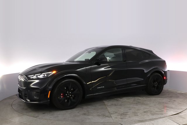 2025 Ford Mustang Mach-E — photo 14 of 24