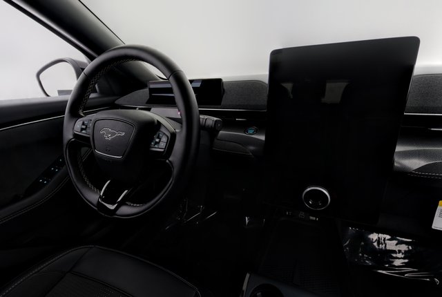 2025 Ford Mustang Mach-E — photo 20 of 24