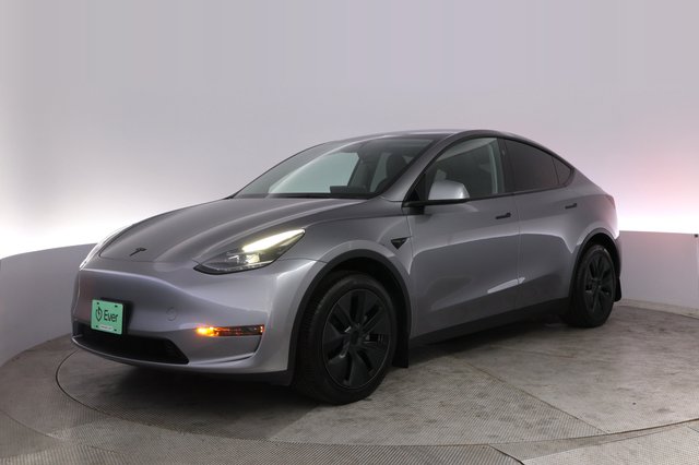 2024 Tesla Model Y — VIN 7SAYGDED9RF162650