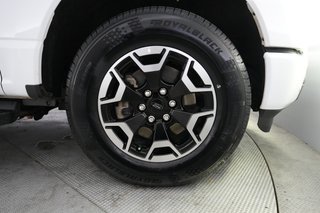 2023 Ford F-150 Lightning — photo 10 of 16