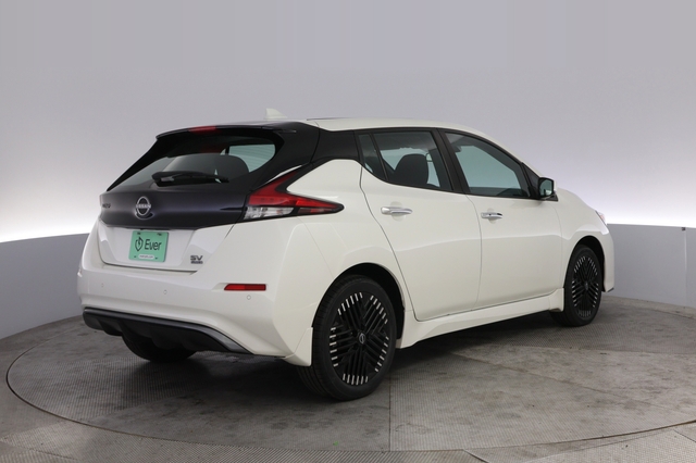 2024 Nissan LEAF