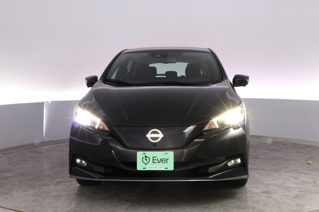 2024 Nissan LEAF
