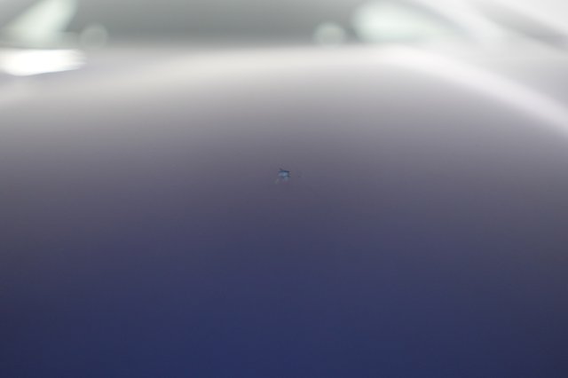 2024 Kia EV6 — photo 25 of 27