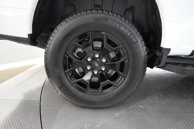 2025 Ford F-150 Lightning — photo 10 of 15