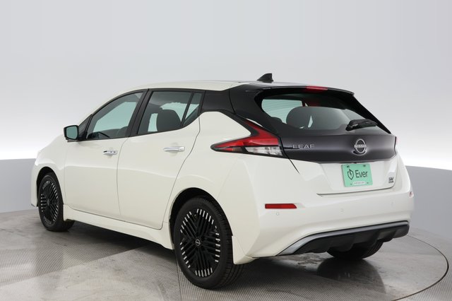 2025 Nissan LEAF — photo 13 of 22