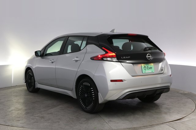 2024 Nissan LEAF — photo 13 of 25
