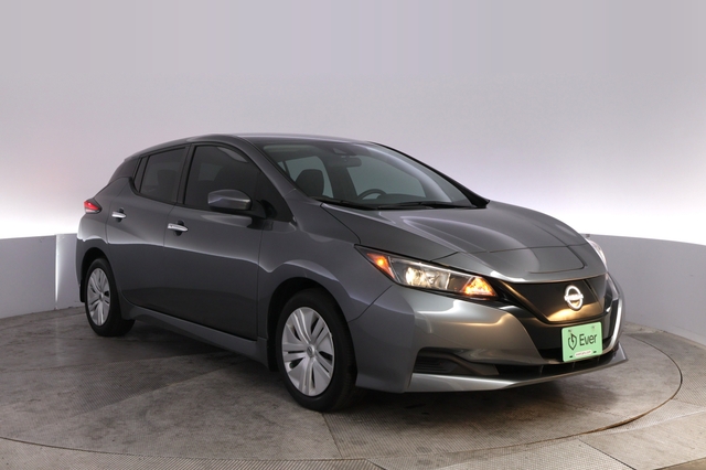 2025 Nissan LEAF