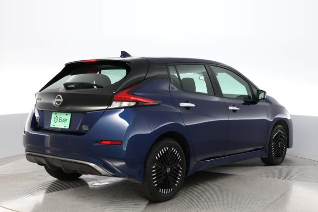 2024 Nissan LEAF — photo 2 of 21