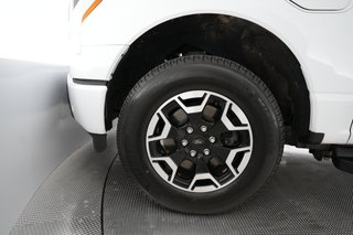 2023 Ford F-150 Lightning — photo 9 of 15