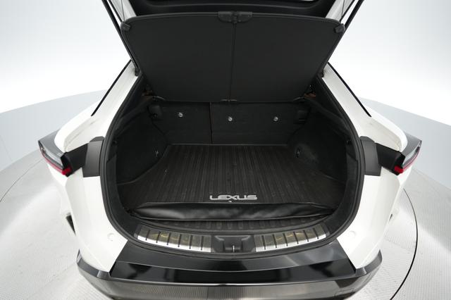 2024 Lexus RZ — photo 6 of 18