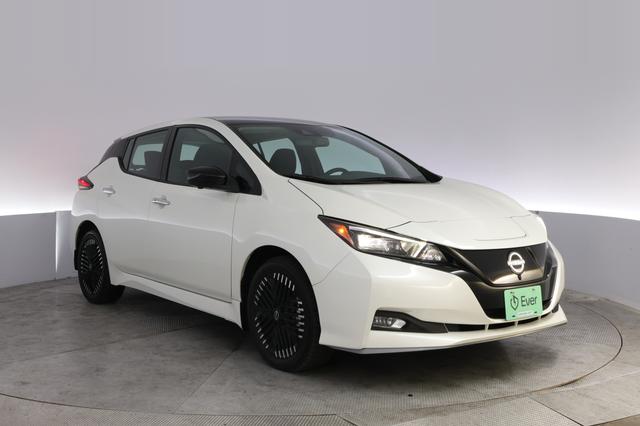 2024 Nissan LEAF — photo 10 of 23