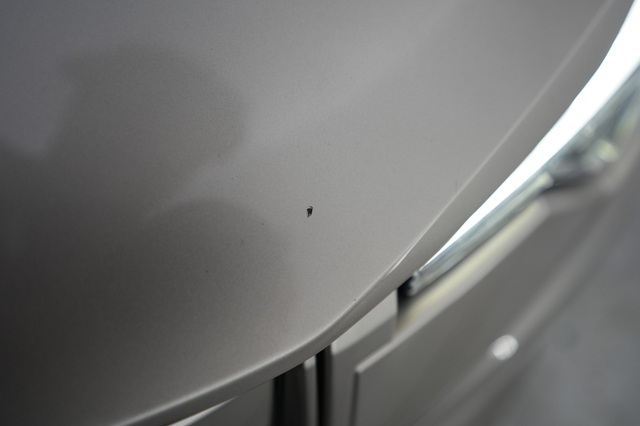 2024 Polestar 2