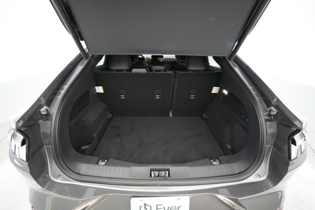 2023 Ford Mustang Mach-E — photo 6 of 21