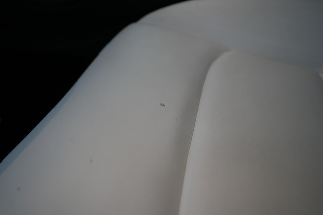 2022 Tesla Model Y — photo 21 of 23