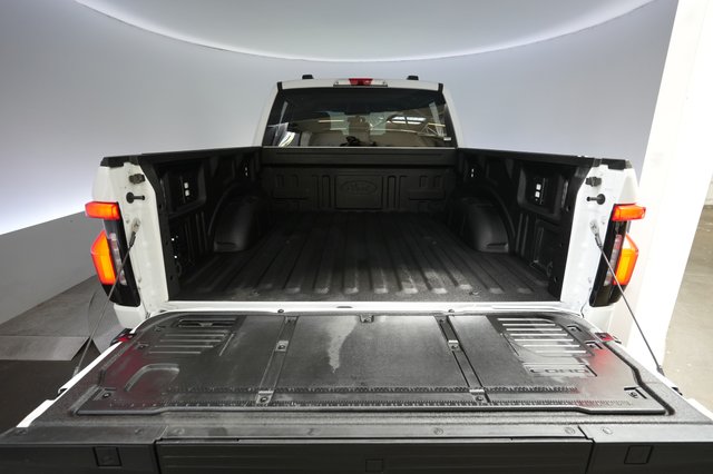 2025 Ford F-150 Lightning — photo 6 of 17