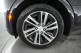 2024 Cadillac LYRIQ — photo 13 of 25