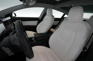 2021 Tesla Model 3 — photo 3 of 28