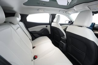 2022 Ford Mustang Mach-E — photo 20 of 31