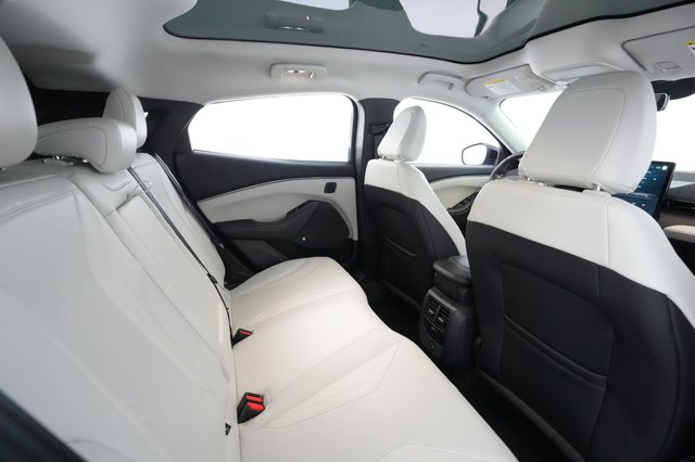 2022 Ford Mustang Mach-E — photo 20 of 31