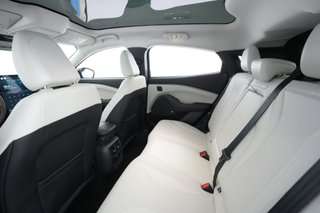 2022 Ford Mustang Mach-E — photo 18 of 31