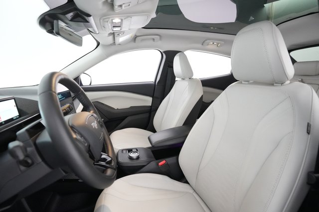 2022 Ford Mustang Mach-E — photo 17 of 31