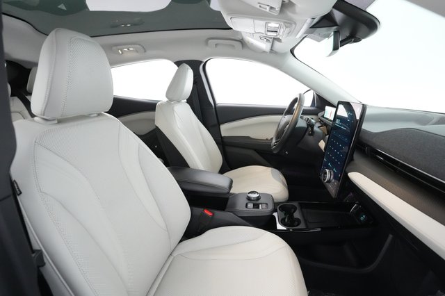 2022 Ford Mustang Mach-E — photo 19 of 31