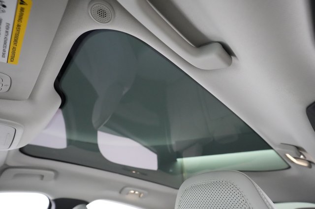 2022 Ford Mustang Mach-E — photo 22 of 31