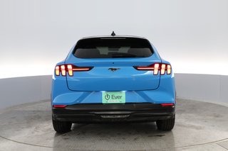 2022 Ford Mustang Mach-E — photo 10 of 31
