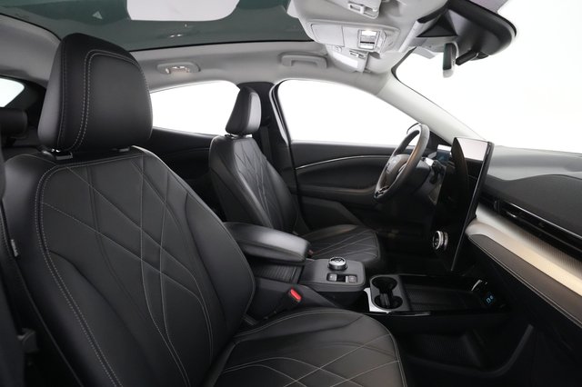 2021 Ford Mustang Mach-E — photo 17 of 30