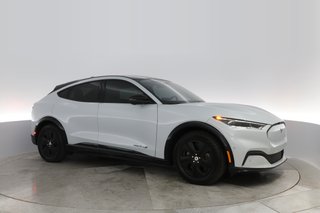 2021 Ford Mustang Mach-E — photo 7 of 30