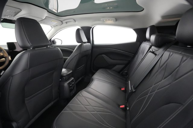 2021 Ford Mustang Mach-E — photo 16 of 30