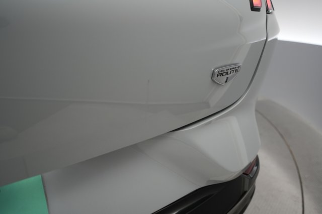 2021 Ford Mustang Mach-E — photo 25 of 30