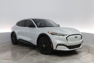 2021 Ford Mustang Mach-E — photo 6 of 30