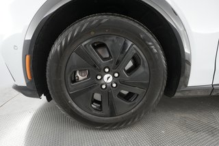 2021 Ford Mustang Mach-E — photo 11 of 30