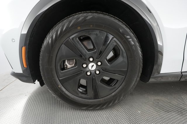 2021 Ford Mustang Mach-E — photo 11 of 30