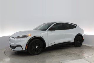 2021 Ford Mustang Mach-E — photo 10 of 30