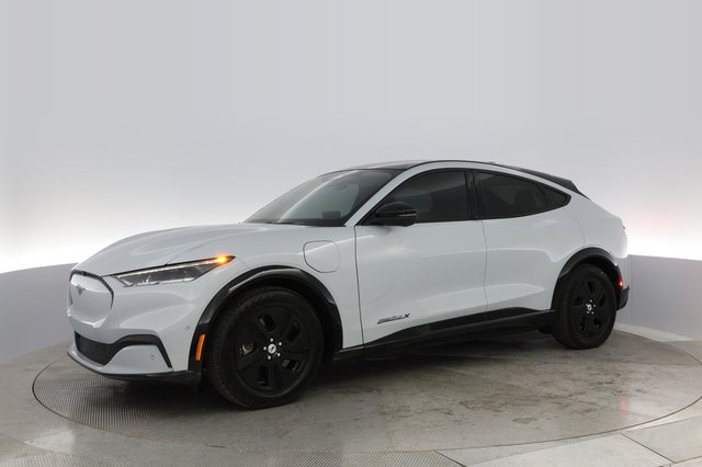2021 Ford Mustang Mach-E — photo 10 of 30
