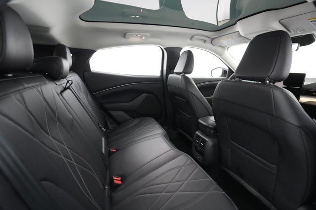 2021 Ford Mustang Mach-E — photo 3 of 30
