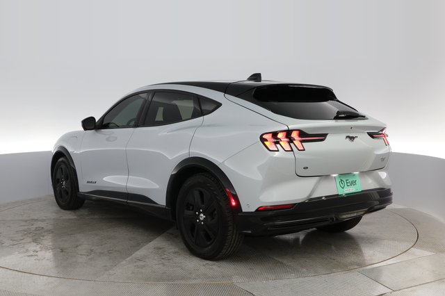 2021 Ford Mustang Mach-E — photo 9 of 30