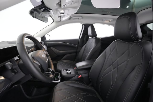 2021 Ford Mustang Mach-E — photo 15 of 30