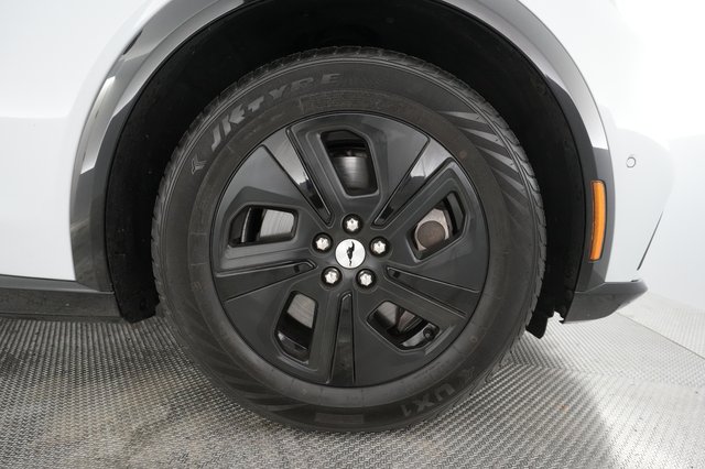 2021 Ford Mustang Mach-E — photo 13 of 30