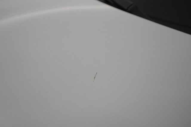 2021 Ford Mustang Mach-E — photo 24 of 30