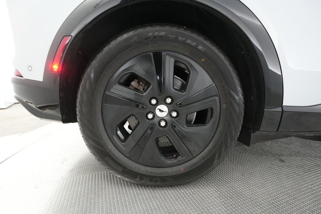 2021 Ford Mustang Mach-E — photo 14 of 30
