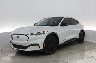 2021 Ford Mustang Mach-E — VIN 3FMTK2R7XMMA30186