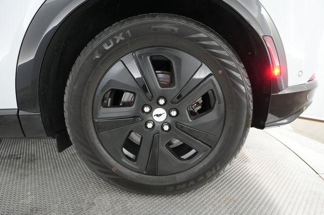 2021 Ford Mustang Mach-E — photo 12 of 30