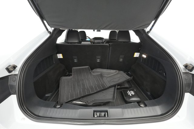 2021 Ford Mustang Mach-E — photo 21 of 30