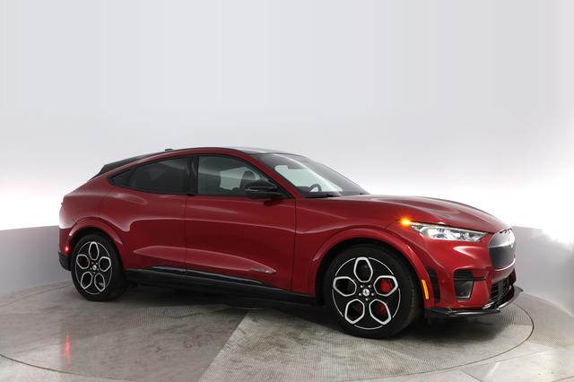 2021 Ford Mustang Mach-E — photo 8 of 26