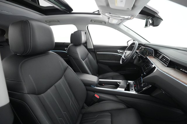 2019 Audi e-tron — photo 17 of 28