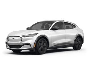 2023 Ford Mustang Mach-E — VIN 3FMTK2SU7PMA40310